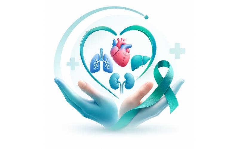 Organ Transplants
